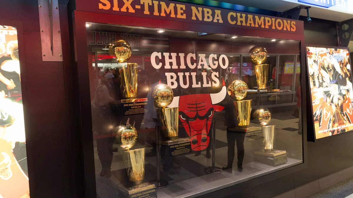 Chicago Bulls display case with six NBA championship trophies and the team logo