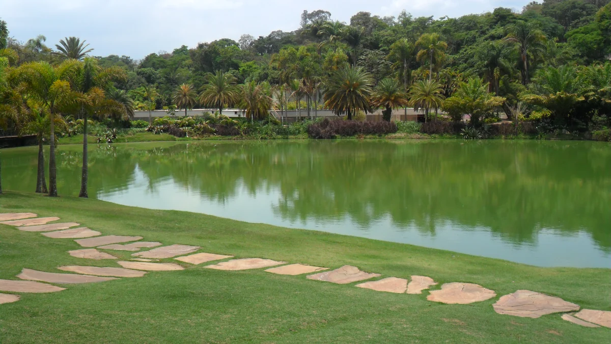 Lac vert bordé de pelouse, de palmiers et de végétation à l’Instituto Inhotim