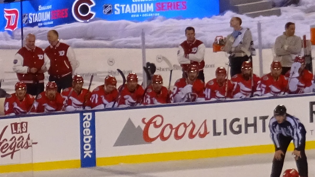 Des joueurs des Detroit Red Wings assis sur le banc pendant un match de hockey.