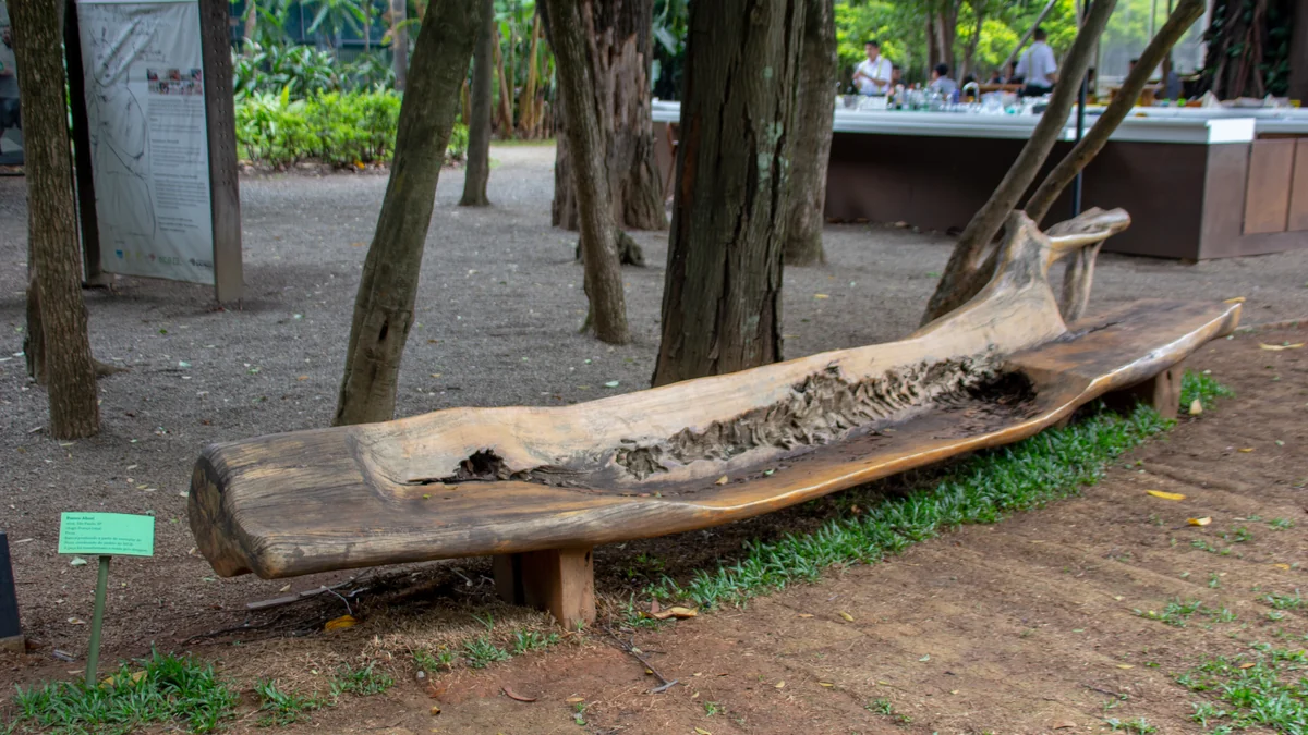 Longue pièce en bois installée parmi des arbres dans un jardin