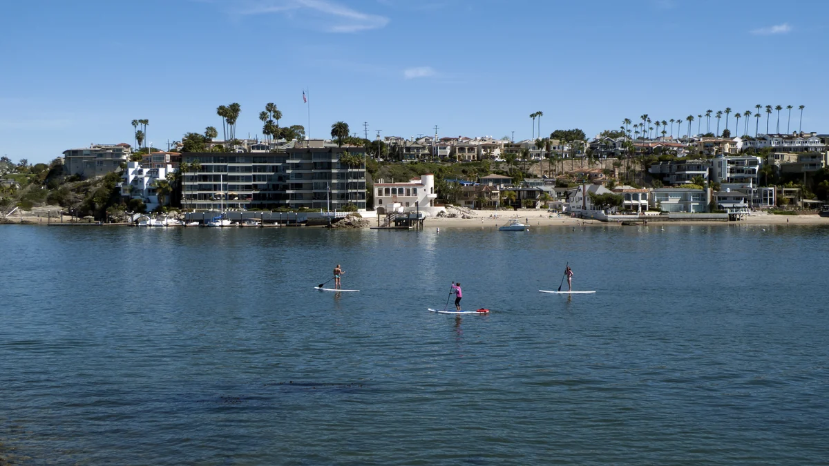 Trois personnes sur des planches de stand-up paddle dans le port, devant des maisons et des palmiers