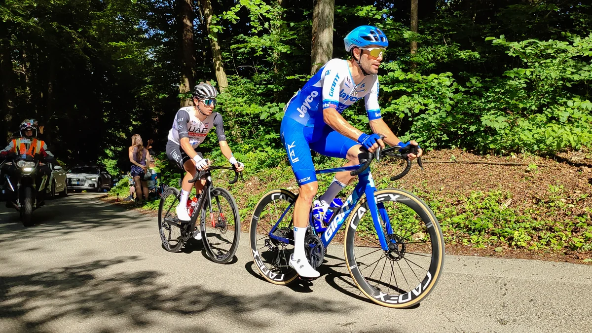 Two cyclists climb a tree-lined road, with Tadej Pogačar in UAE kit riding behind.